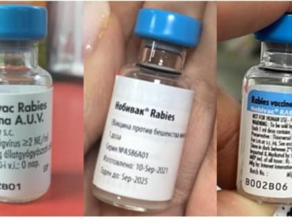 Россельхознадзор предупреждает о выявлении контрафактной партии вакцины «Нобивак®Rabies»