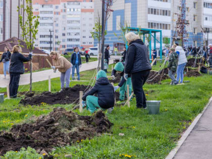 Семьи Альметьевска внесли свой вклад в озеленение города