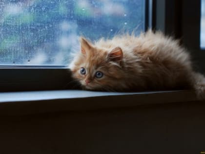 Жителям Татарстана рассказали, к какой погоде готовиться в начале недели