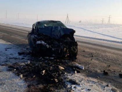 В Альметьевском районе в ДТП погибли два пассажира