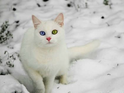 С приходом атмосферного фронта в начале выходных в Татарстане заметно потеплеет