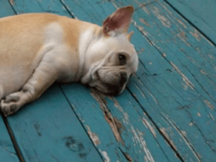 "Смертельная опасность": врач объяснил, почему крайне опасно копить недосып до выходных