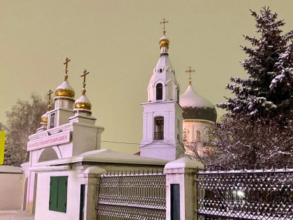 Глава Набережночелнинской епархии совершил праздничные богослужения в день памяти апостола Андрея Первозванного [+Видео]