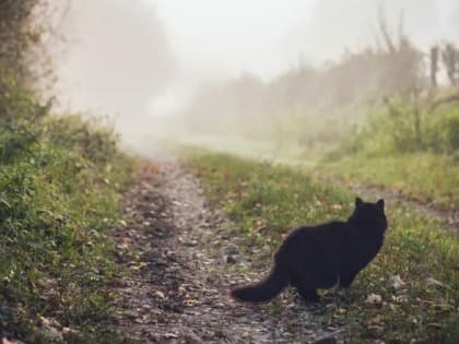 Туман, сильный ветер и до +3 градусов ожидаются в Татарстане в ближайшие сутки