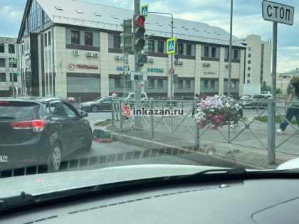 В Казани портят городское оформление: на этот раз пострадали цветы