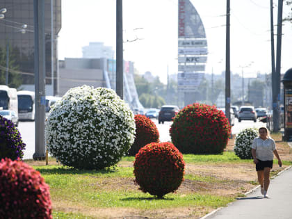 Движение транспорта на улице Н.Ершова частично ограничили до конца июня