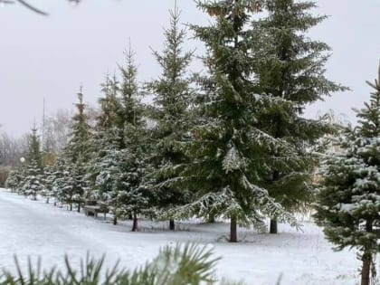 29 января на территории Республики Татарстан местами ожидается туман