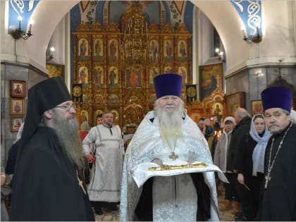 Правящий архиерей возглавил богослужения праздника Богоявления [+Видео]