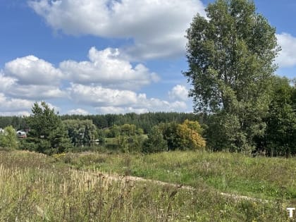 Летнее тепло ожидает Татарстан на следующей неделе