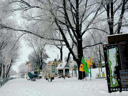 Ежедневный оперативный прогноз на 28 января