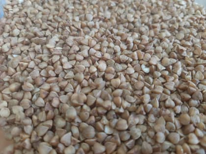 Топ-5 полезных каш для детей и взрослых