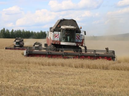 Определились победители второй недели жатвы на полях Лениногнорского района