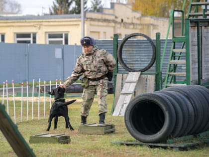 День призывника в Казани: важное событие для молодых людей