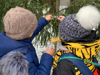 Воспитанники школьного лесничества «Зеленый дом» присоединились к онлайн-марафону «Хранители птиц»