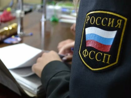 В Нижнекамске бизнес-леди оплатила налоги, когда к ней в гости заглянули приставы