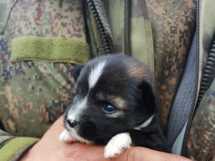 Челнинец ушел добровольцем, и рассказал, как служит командиром БМП