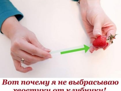 ​Не выбрасываем хвостики от клубники