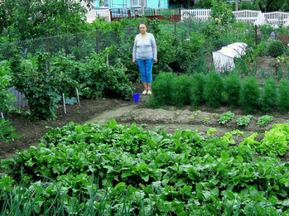 Овощ, который убивает здоровье человека: в Европе его больше не едят