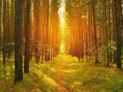 Новые инициативы по улучшению здоровья населения