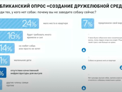 Опрос: 10% татарстанцев связали причину отсутствия собаки с некачественной инфраструктурой для выгула