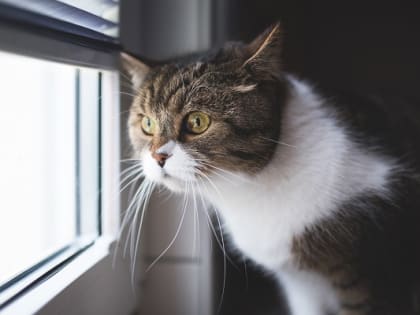 Порывистый ветер, снегопады и потепление до +1 градуса ожидаются в Татарстане 5 марта