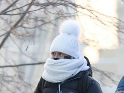 При сильных морозах в школах Татарстана будут отменены занятия после зимних каникул