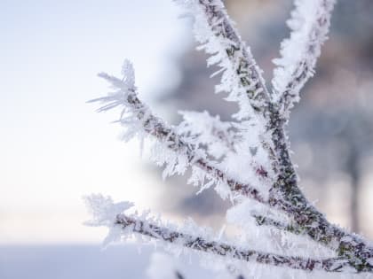 Штормовое предупреждение на территории РТ на 11 января