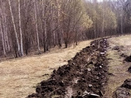 Противопожарное обустройство лесов