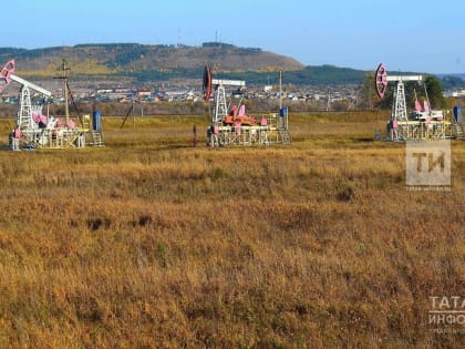 Эксперт: Российская нефть подорожает к концу 2024 года