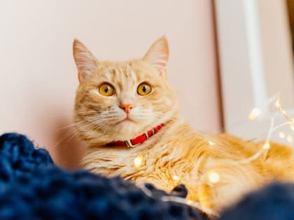 22-градусные морозы сохранятся в Татарстане в конце рабочей недели