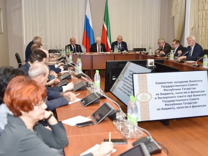 «На миграционные настроения молодежи Татарстана влияет дефицит потенциальных невест в сельской местности»