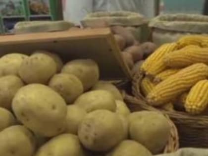 Россия стала единственной страной Европы, в которой подешевели продукты