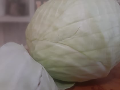 В Нижнекамске в субботу пройдет осенняя сельхозярмарка