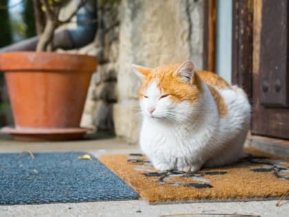 В Благовещение воздух в Татарстане прогреется до +9 градусов, пройдут дожди
