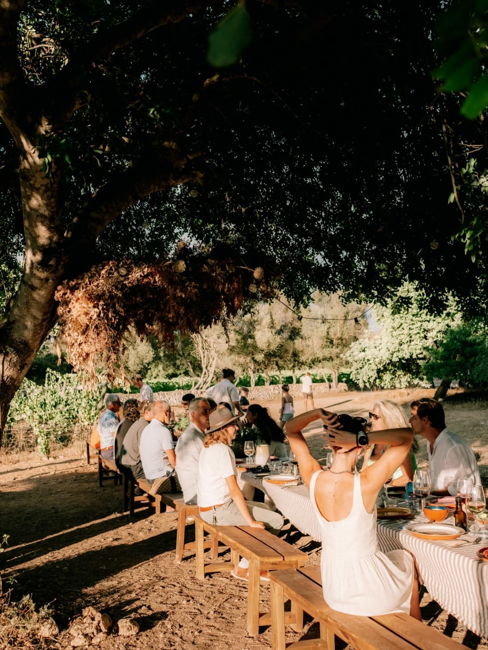 Farm To Table Mallorca