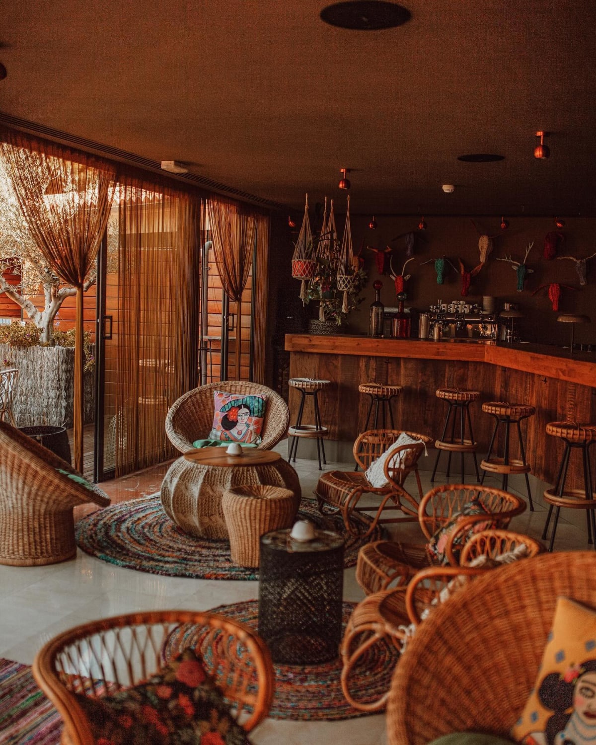 Donkey Bar