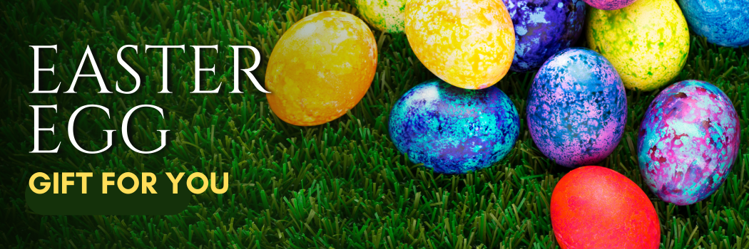 Comnets Easter Offer Banner