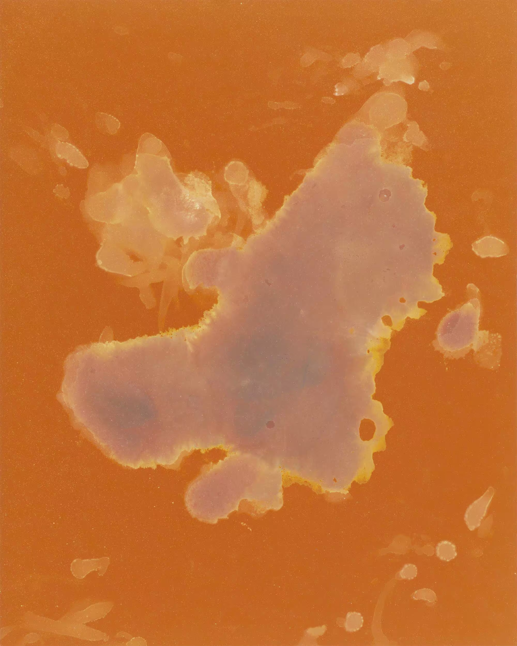 Photo of Neophytes - Testosterone on Paper #16