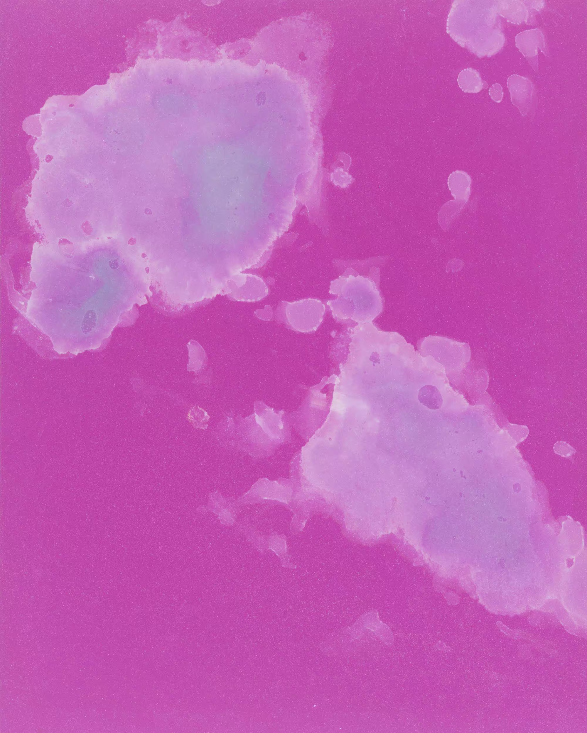 Photo of Neophytes - Testosterone on Paper #10