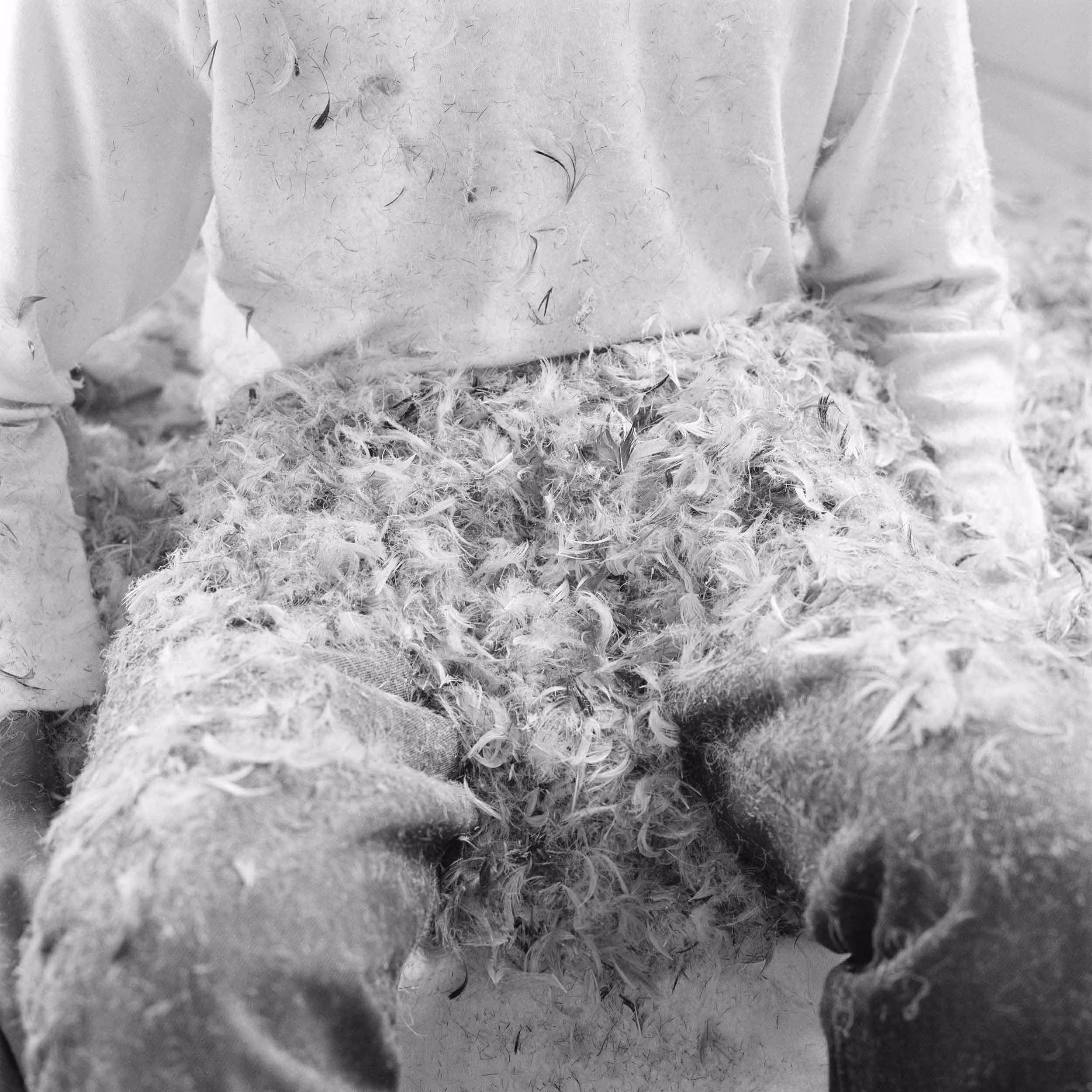 Photo of Brother - Untitled (Brother) #1