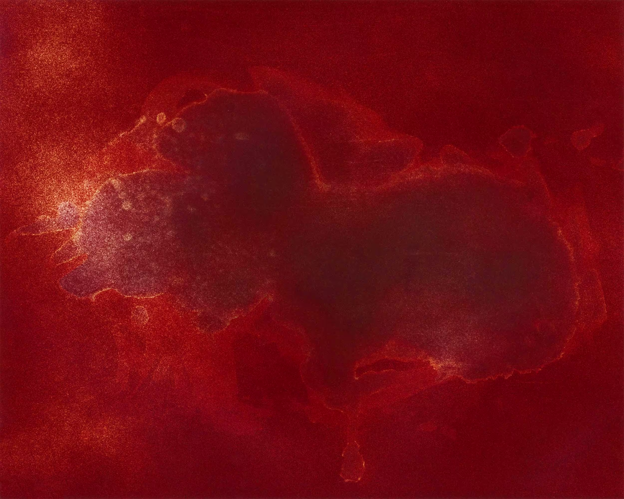 Photo of Neophytes - Testosterone on Paper #6