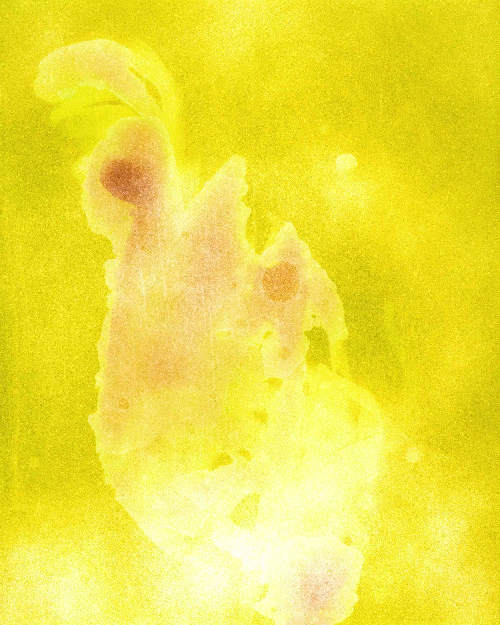 Photo of Neophytes - Testosterone on Paper #7