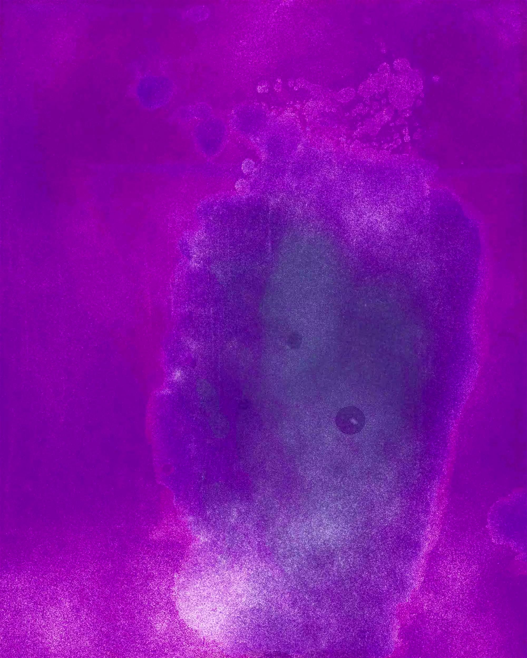 Photo of Neophytes - Testosterone on Paper #3