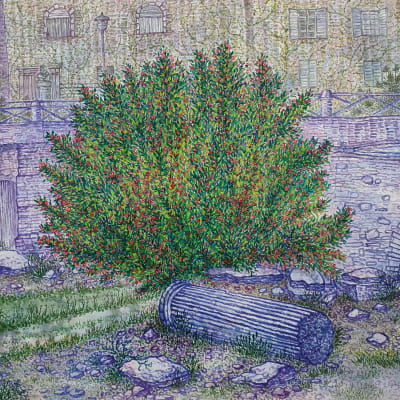 Rome in Bloom