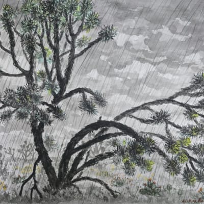 Rain in the Nevada Desert