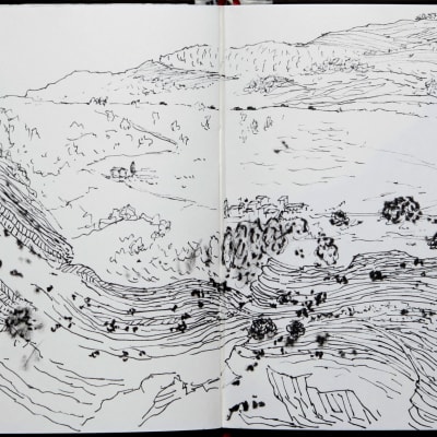 Verdon04