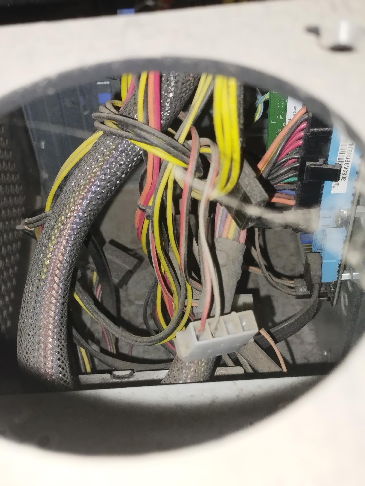 VividObserver715: "Running python 🐍 Where the python lives 😂"