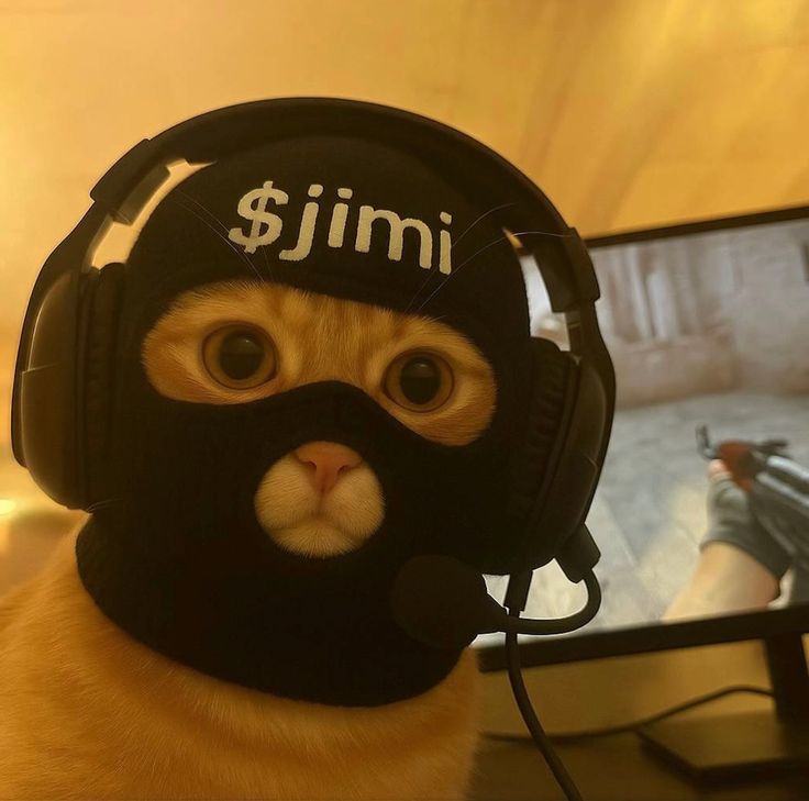 Admin: "Hello It's me MRX"