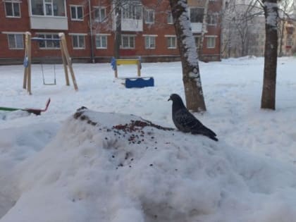 Ижевчане могут заявить своей двор на всероссийский конкурс «Лучший зимний двор России»