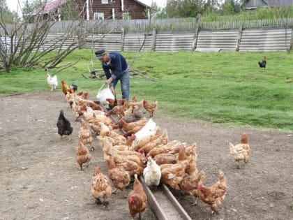 Объем финансирования на заключение социального контракта в 2023 году увеличен